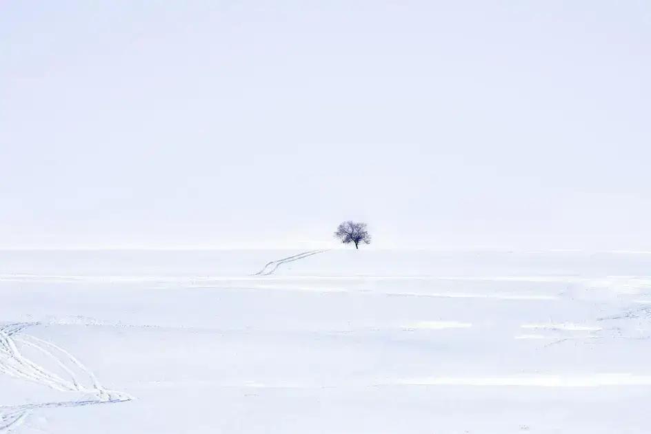 Dæmp-til-varm danske LED-paneler: elegant lys til dit rum