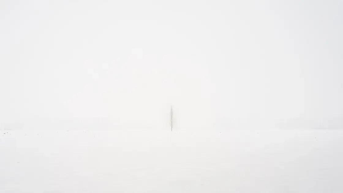 farve og finish kombinationer