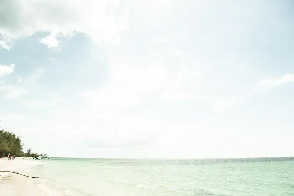 farvepalet og atmosfære