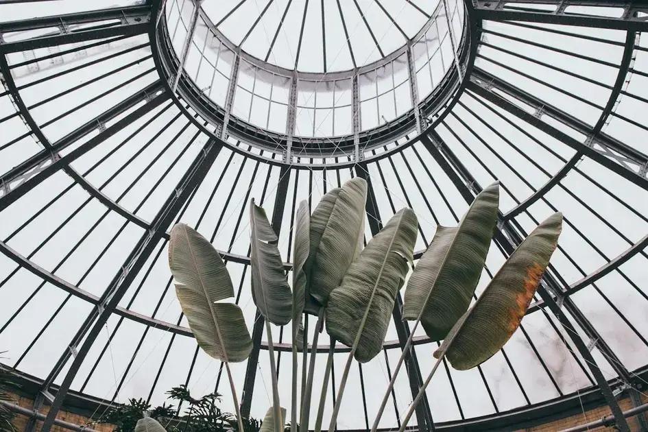 fremtidens trends fremtidens trends