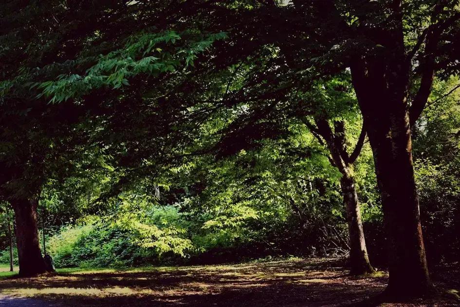 praktiske eksempler og cases