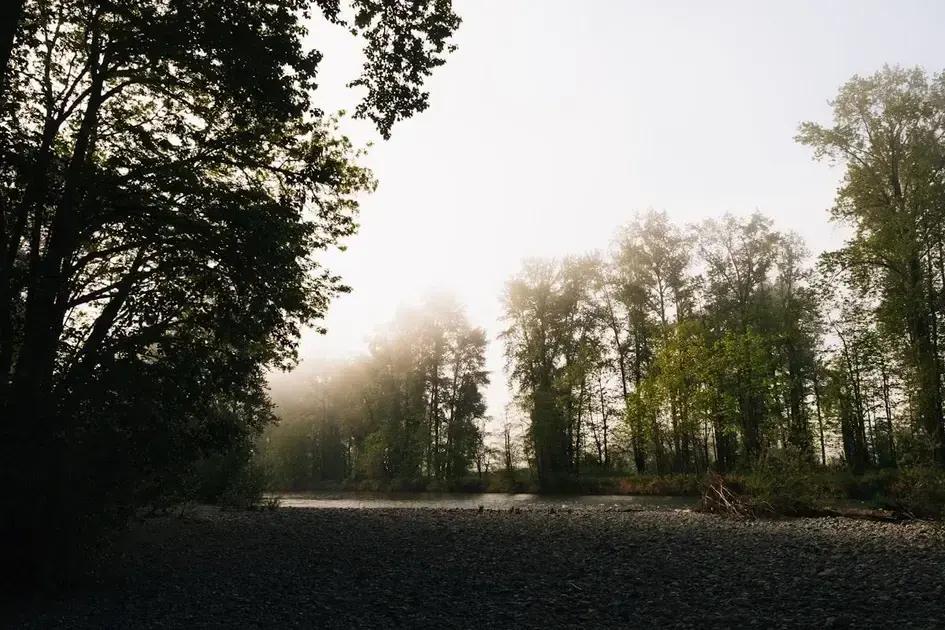 sikkerhedsforanstaltninger