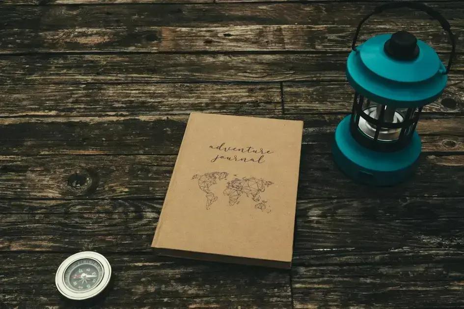 Skjulte LED-moduler vs. standardfatninger—fordele og ulemper