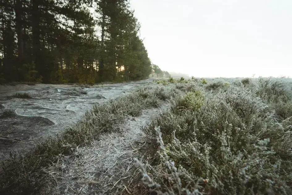 vedligeholdelse og drift